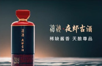 神秘大成篇